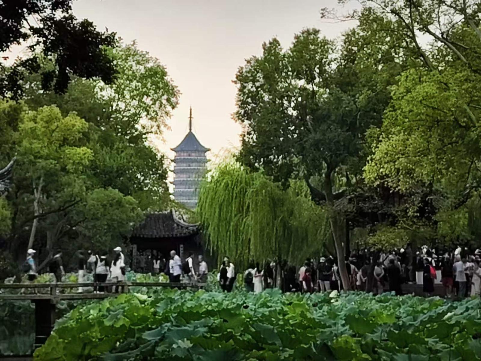 Shanghai–Suzhou 1-day Customized Guided Tour | Image 2 of 8