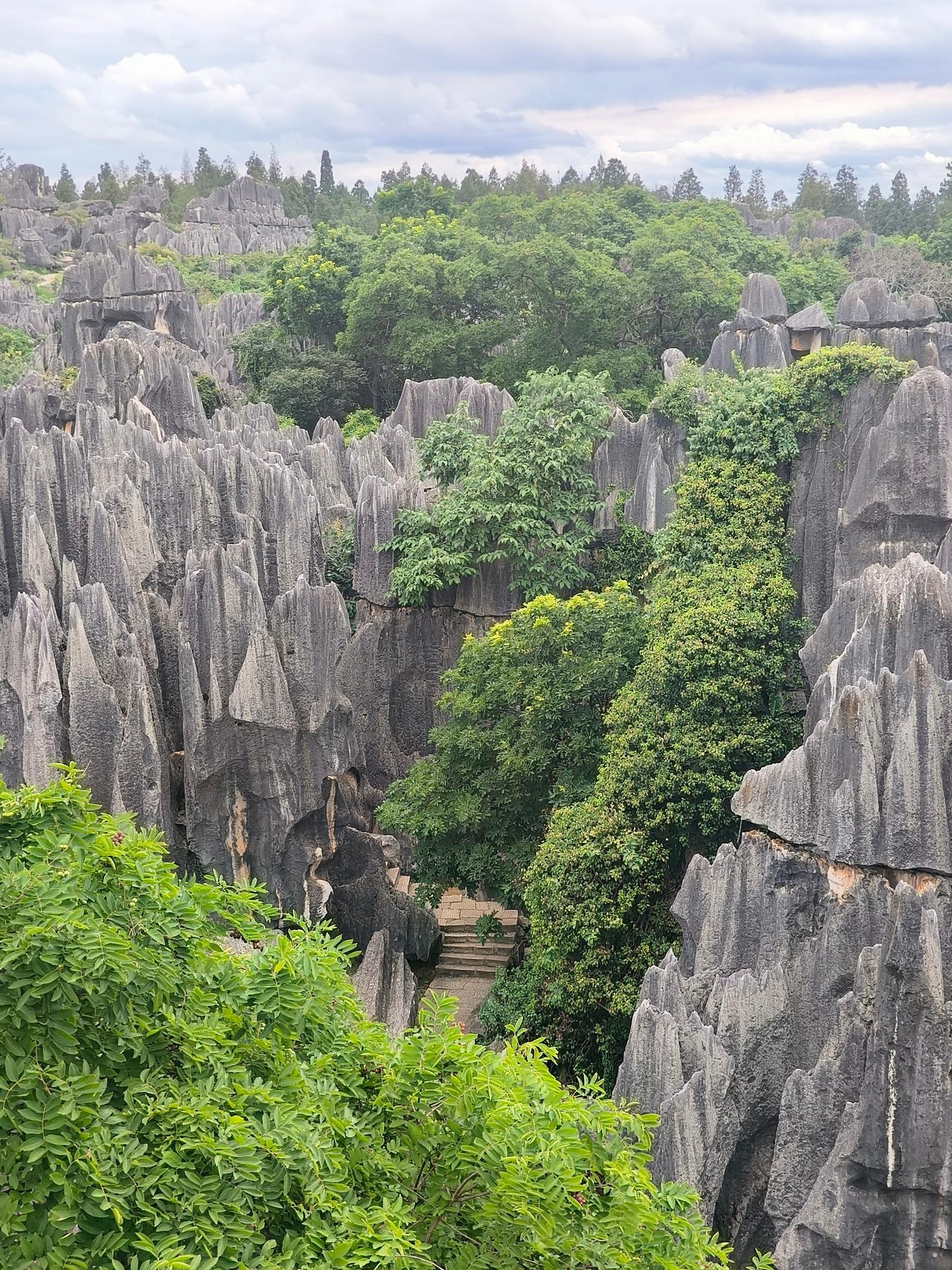 Kunming, Yunnan Guide Service | Image 2 of 4