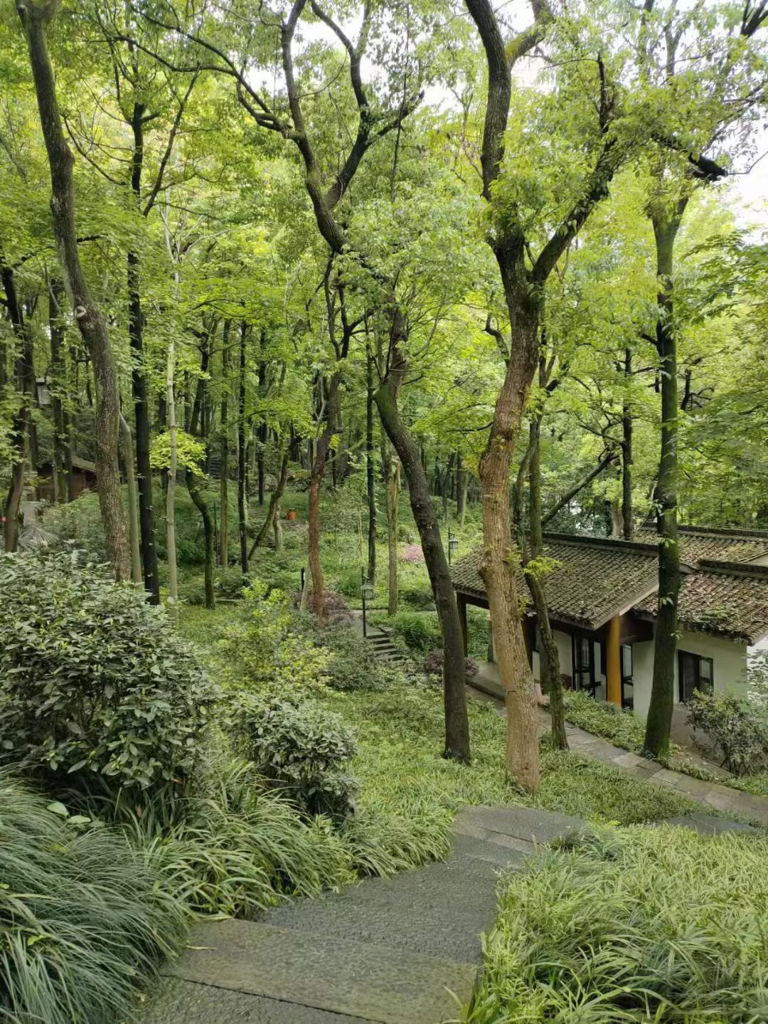Hangzhou Six Little Dragons Technology Experience / Tea Culture Museum Day Tour | Image 3 of 4